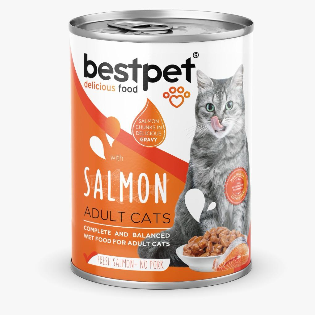 Bestpet Adult Cats Salmon Wet Food (400g)